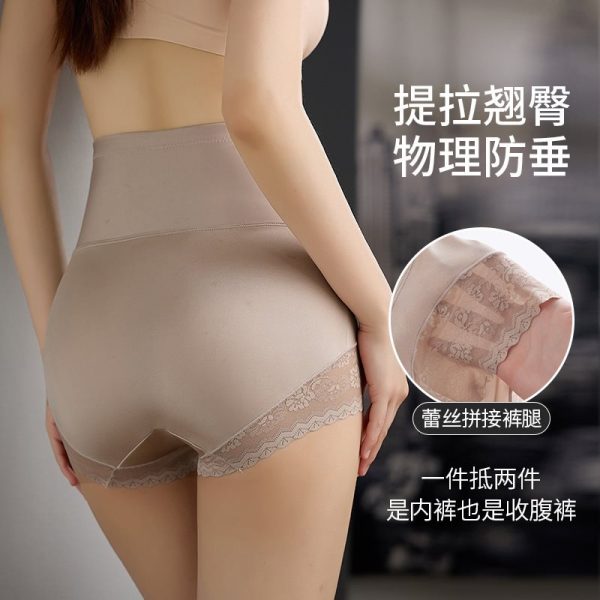 slf-001-main-2.jpg SULIFEI High-Waist Nylon Shaping Brief