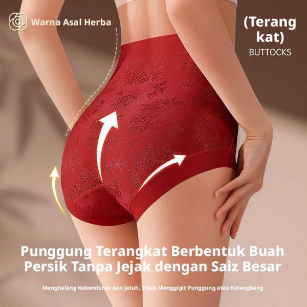 SULIFEI High-Waist Micro-Pressure Shaping Brief